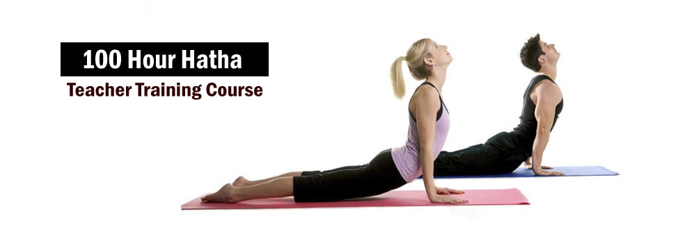 100 hour hatha yoga teacher training in rishikesh