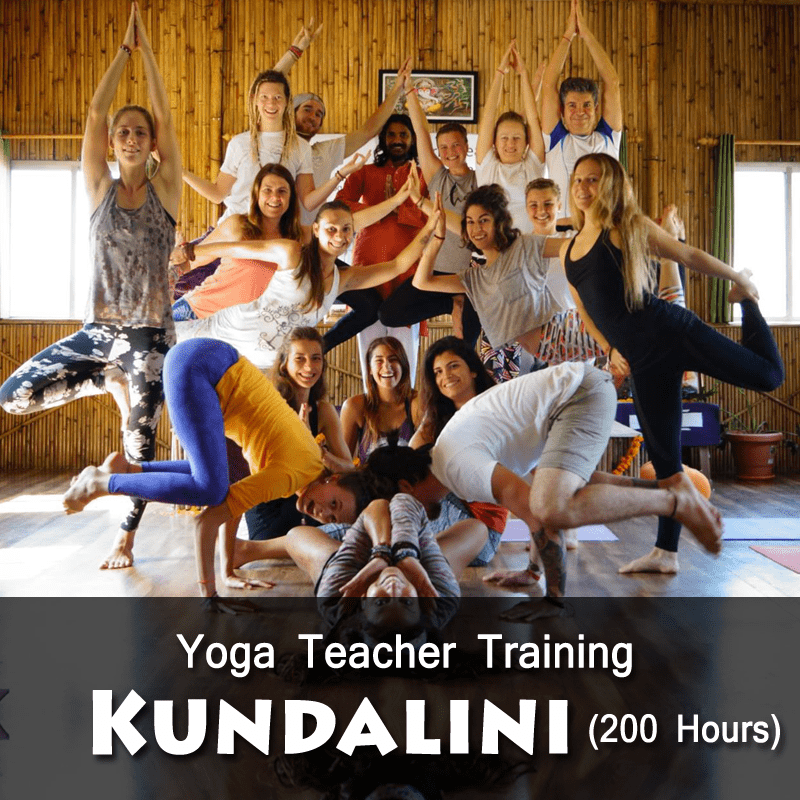 Yoga Teacher Training in Rishikesh, Yoga TTC in Rishikesh