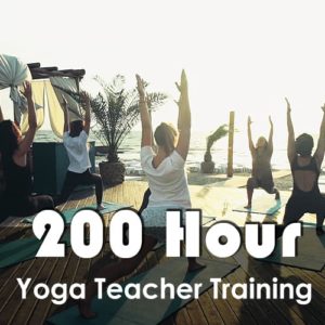 Yoga Teacher Training Scholarship in Rishikesh India