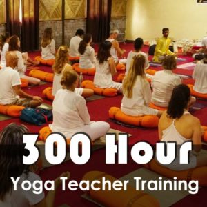 Yoga Teacher Training Scholarship in Rishikesh India