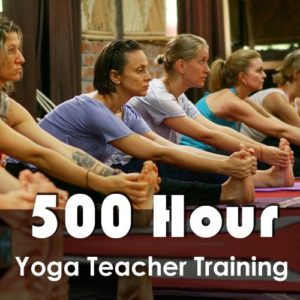 Yoga Teacher Training Scholarship in Rishikesh India