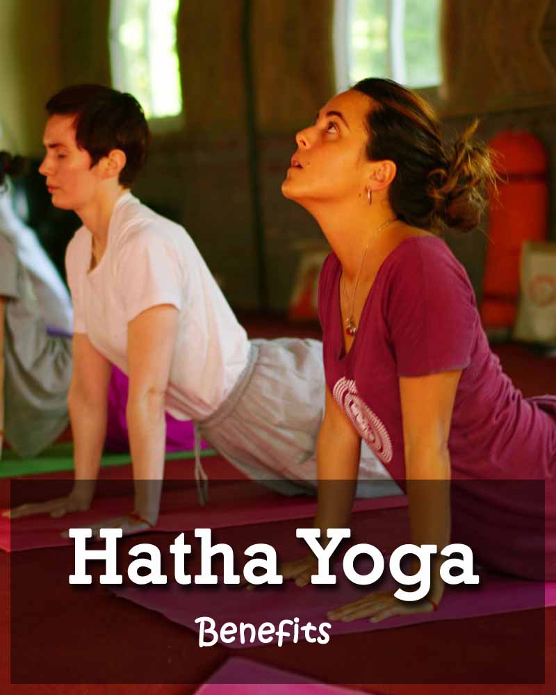 100 hour hatha yoga teacher training in rishikesh