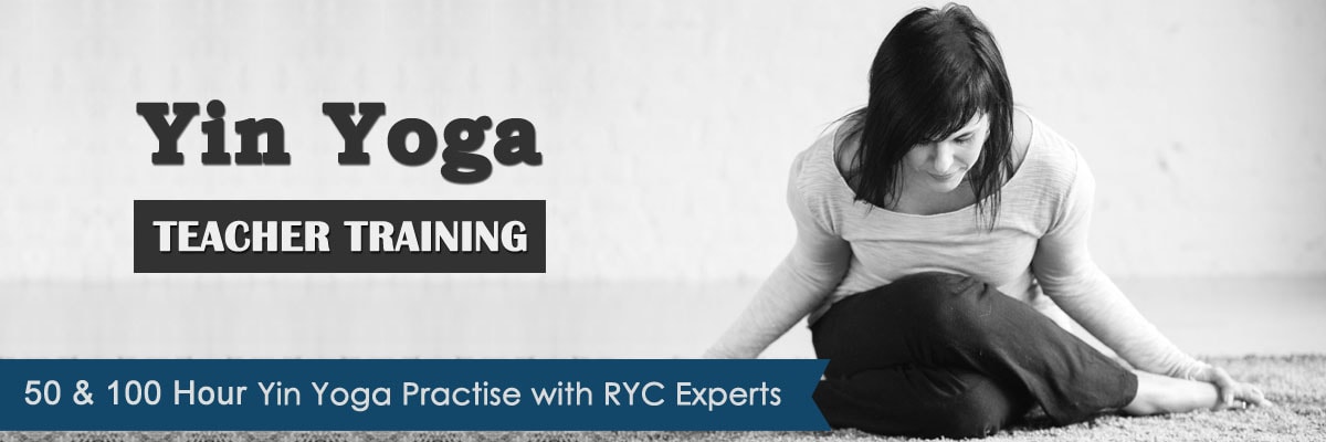 50, 100 Hour Yin Yoga Teacher Training India