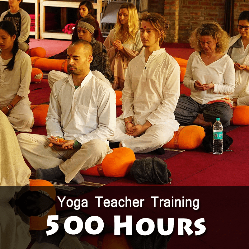 Yoga Courses in Rishikesh